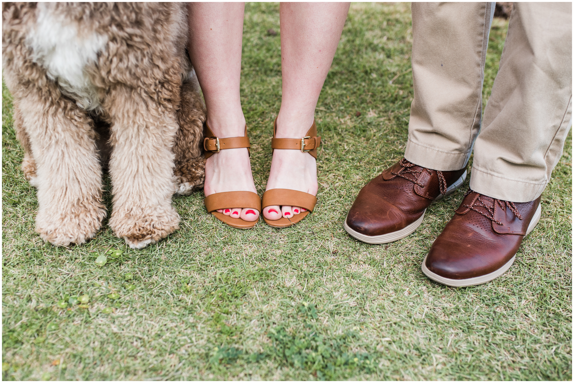 Golden doodle paws with parents feet