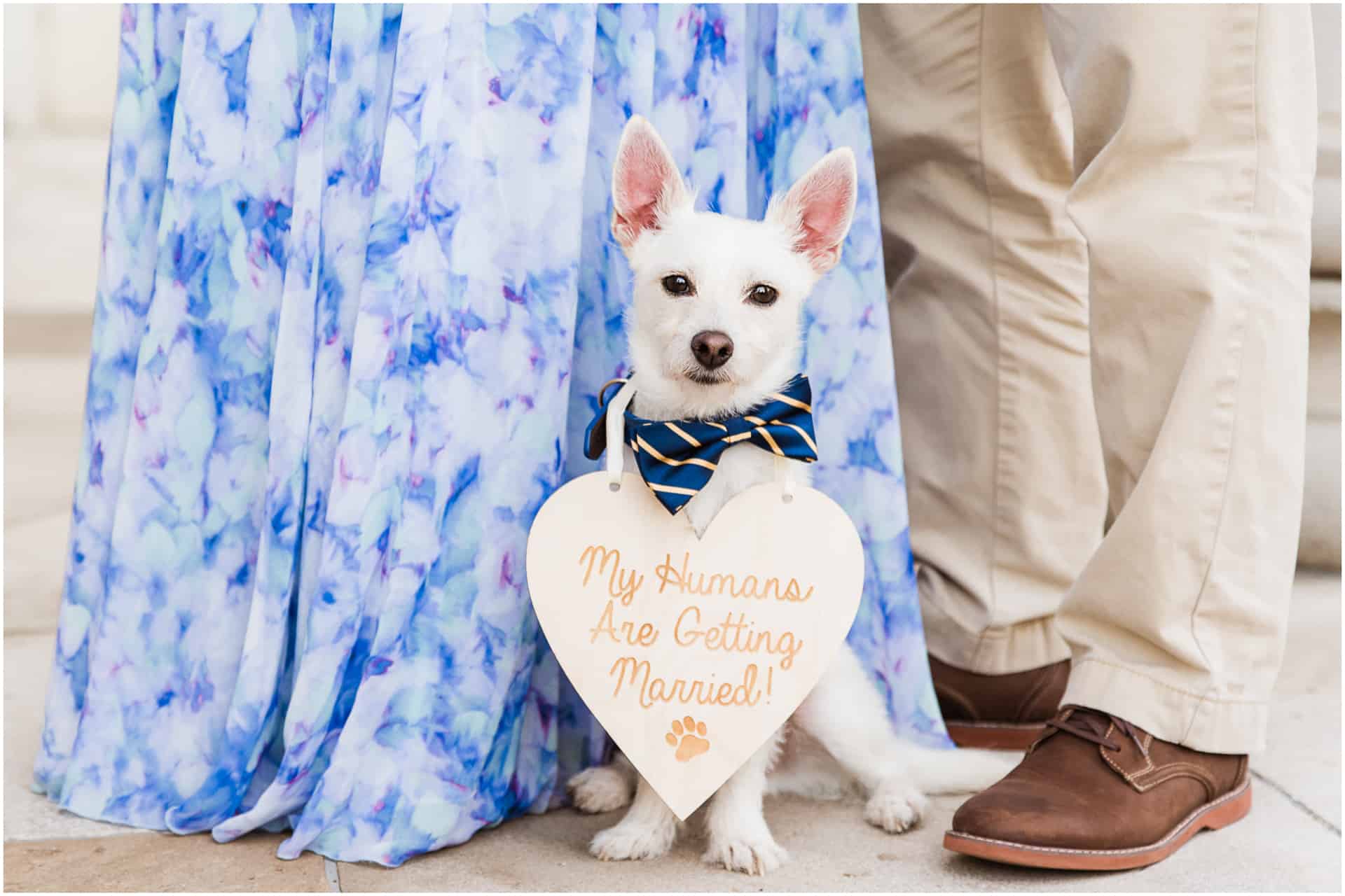 Puppy at Engagement Session - Downtown Huntsville