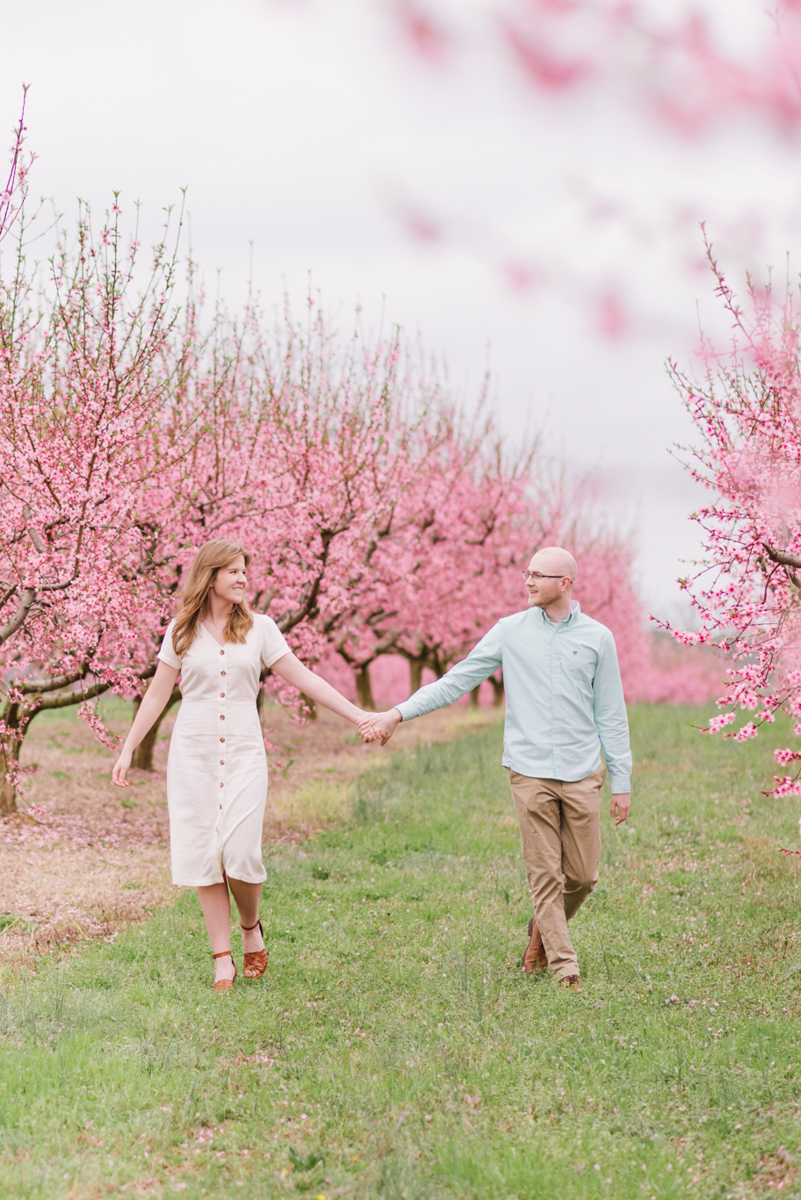 Places to take engagement photos huntsville al - couple walking and holding hands in peach orchard