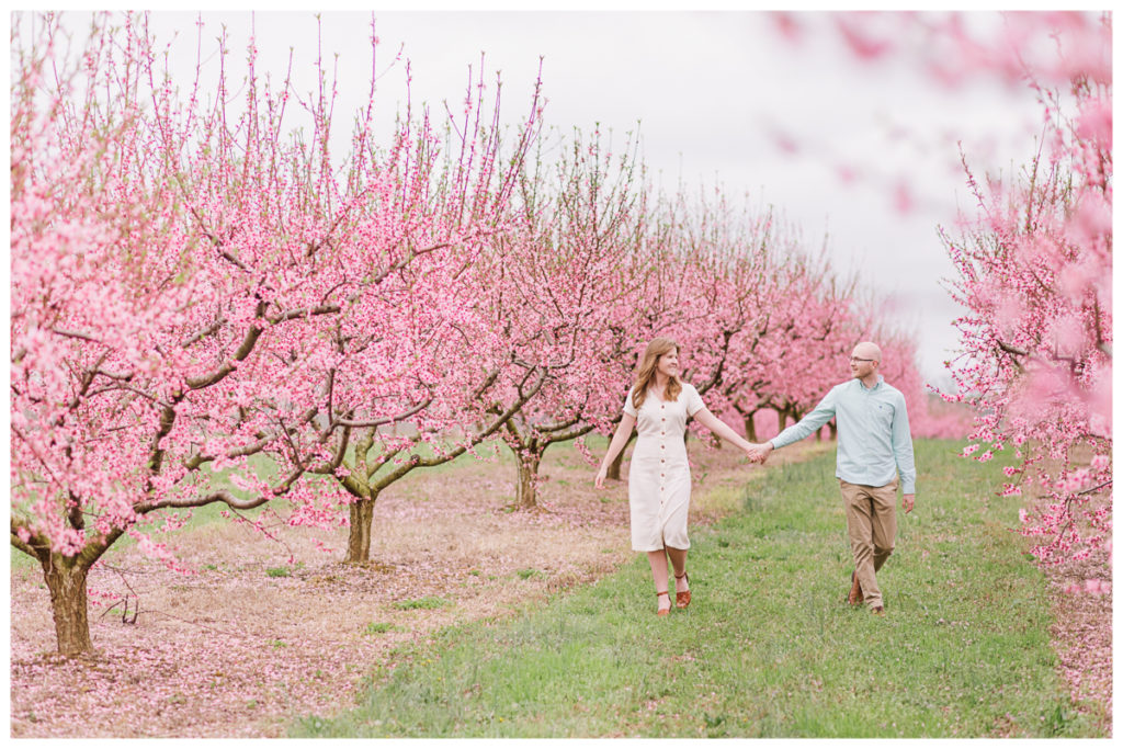 Engagement photos in Huntsville, AL at Scott's Orchard