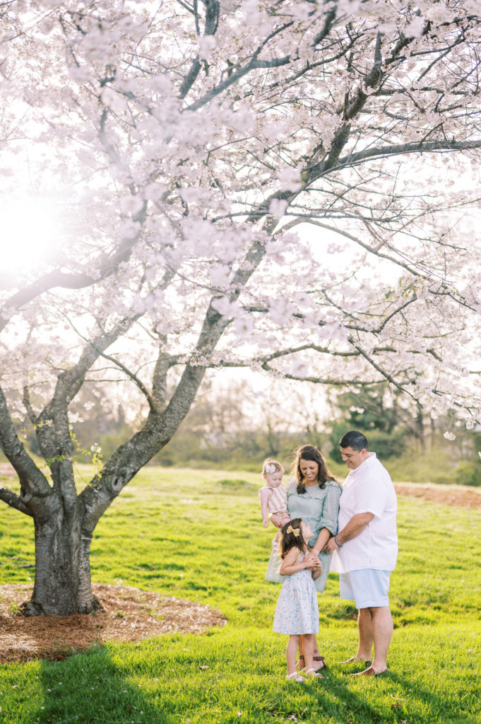 Family of Four Picture - Huntsville Alabama Family Photographer - Spring Session Cherry Blossom Trees - Family of Four 