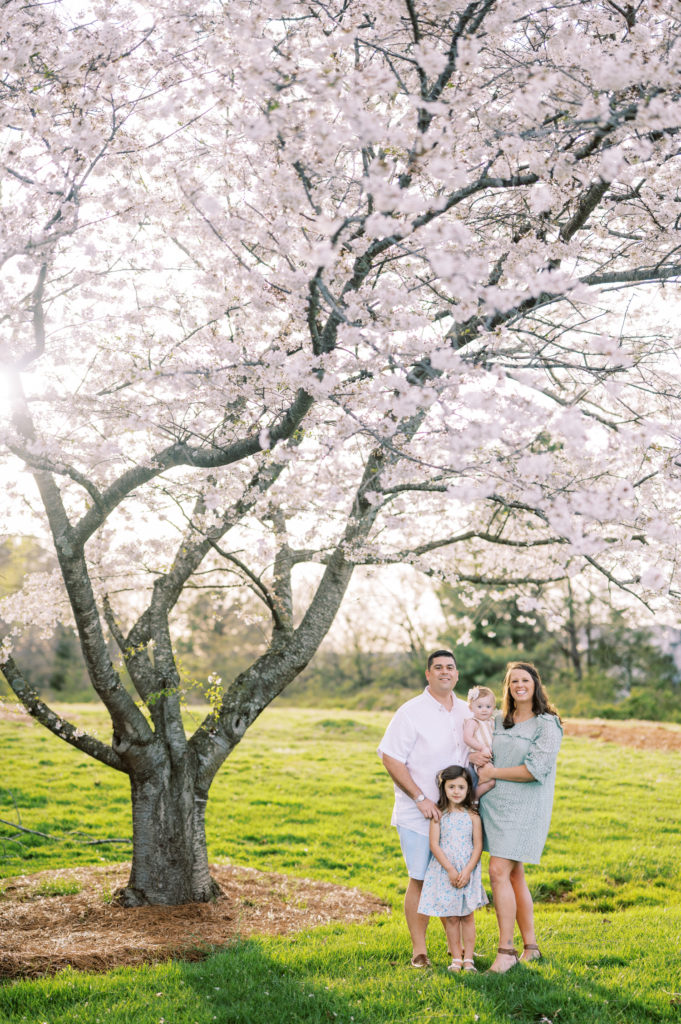 Family of Four under a Cherry Blossom Tree - Huntsville Family Photographer - Twenty Oaks Photography - Salt + Paperie + Made by Jacki Gil
